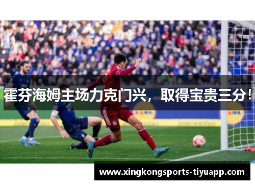 霍芬海姆主场力克门兴，取得宝贵三分！